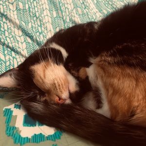 Meet your Posher, Johanna